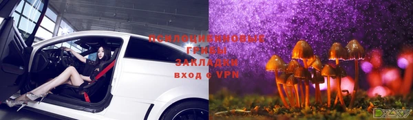 СК Ельня