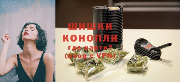 СК Ельня