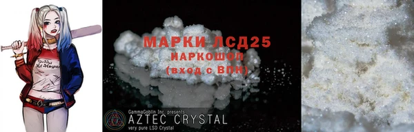 СК Ельня