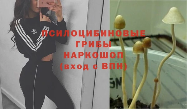 не бодяженный Елабуга