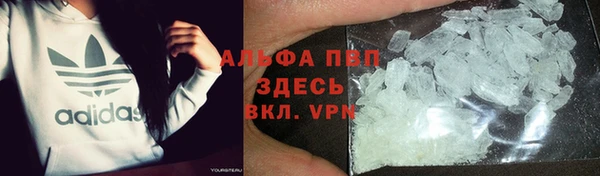 стафф Заволжск