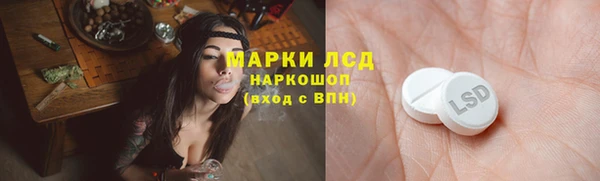 стафф Заволжск
