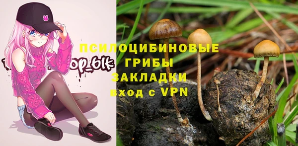 СК Ельня