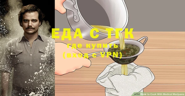 СК Ельня