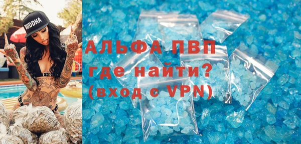 СК Ельня