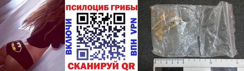 Псилоцибиновые грибы Cubensis  дарк нет официальный сайт  Альметьевск  продажа наркотиков 